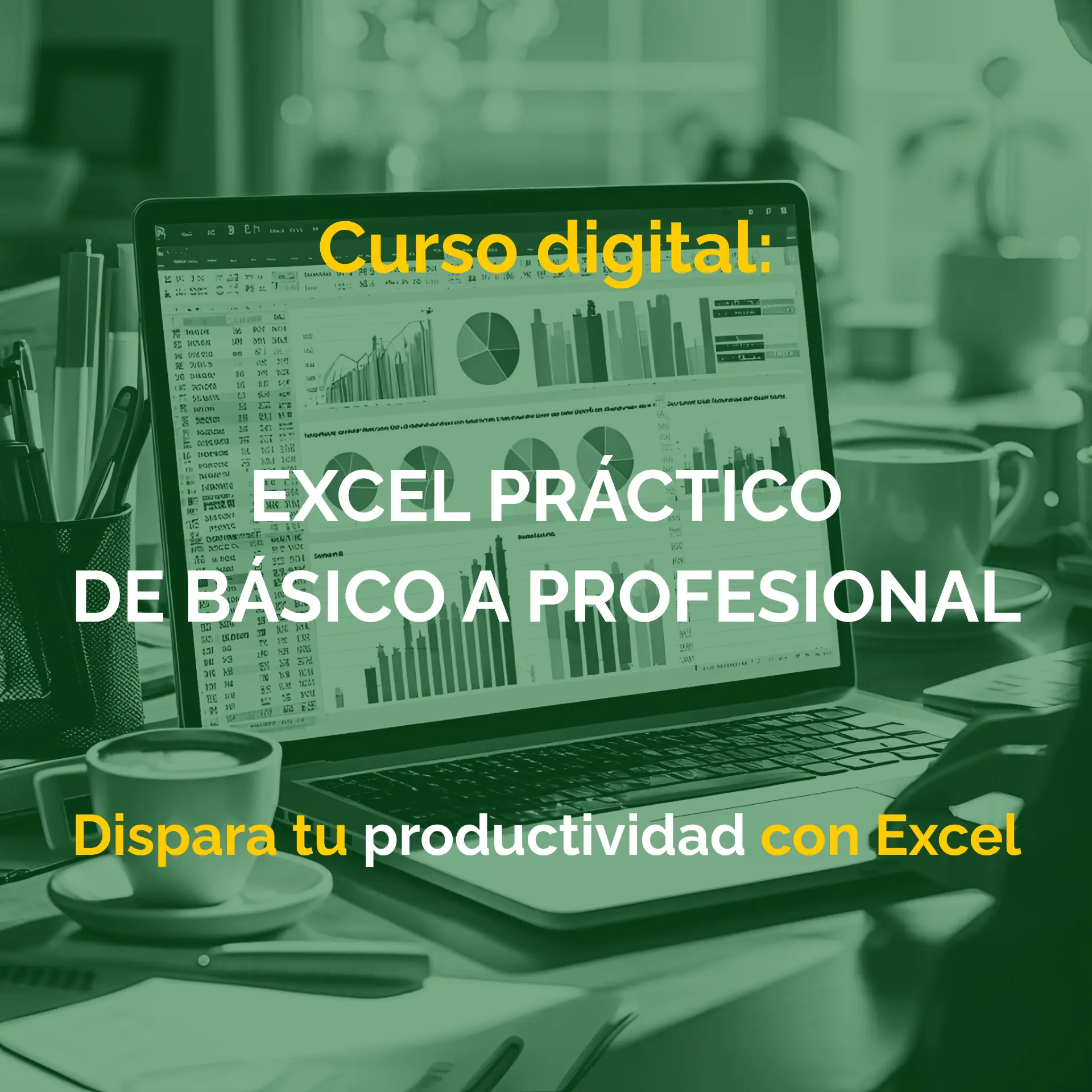 EXCEL PRÁCTICO - BÁSICO A PROFESIONAL