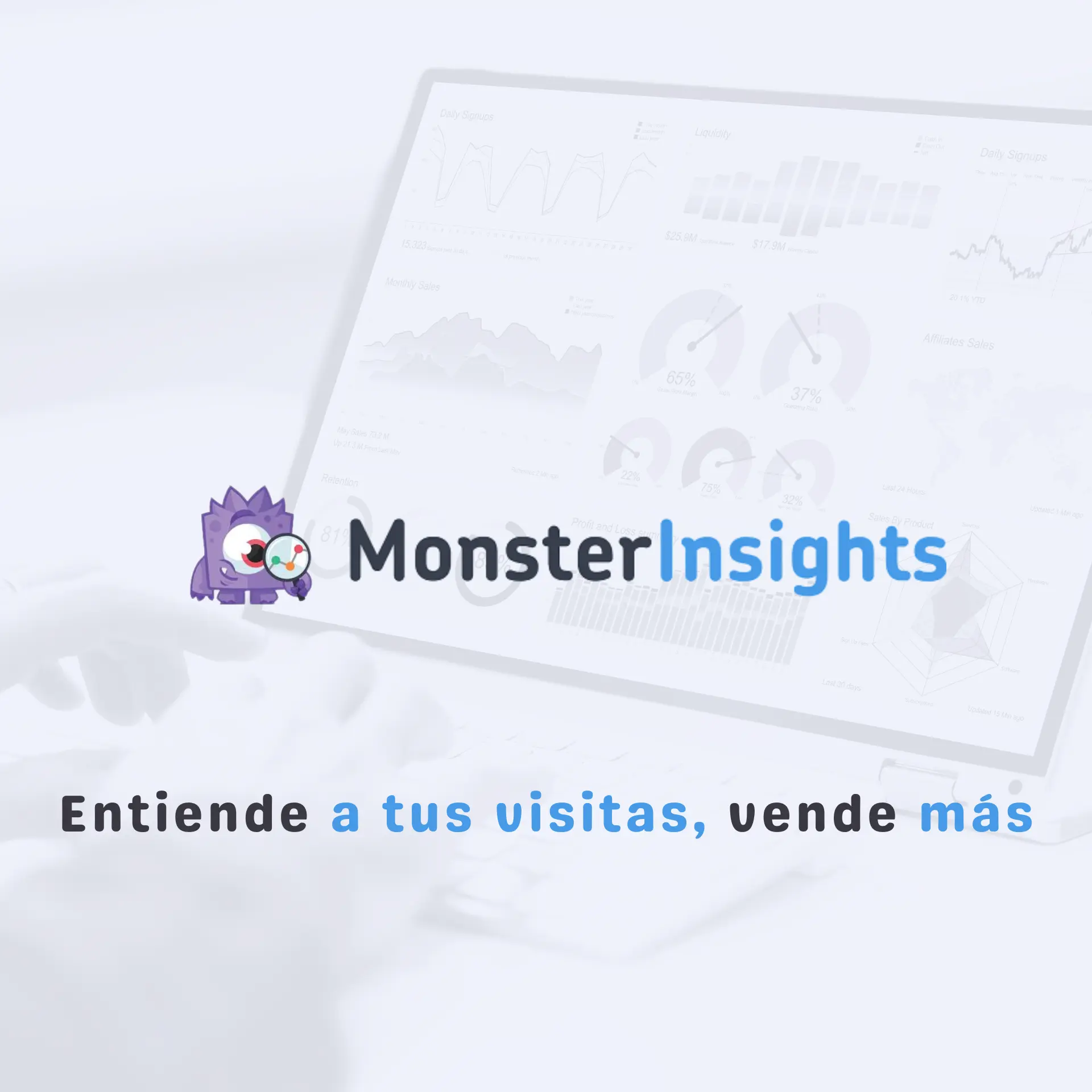 MONSTERINSIGHTS: Domina tus datos, crece tu web